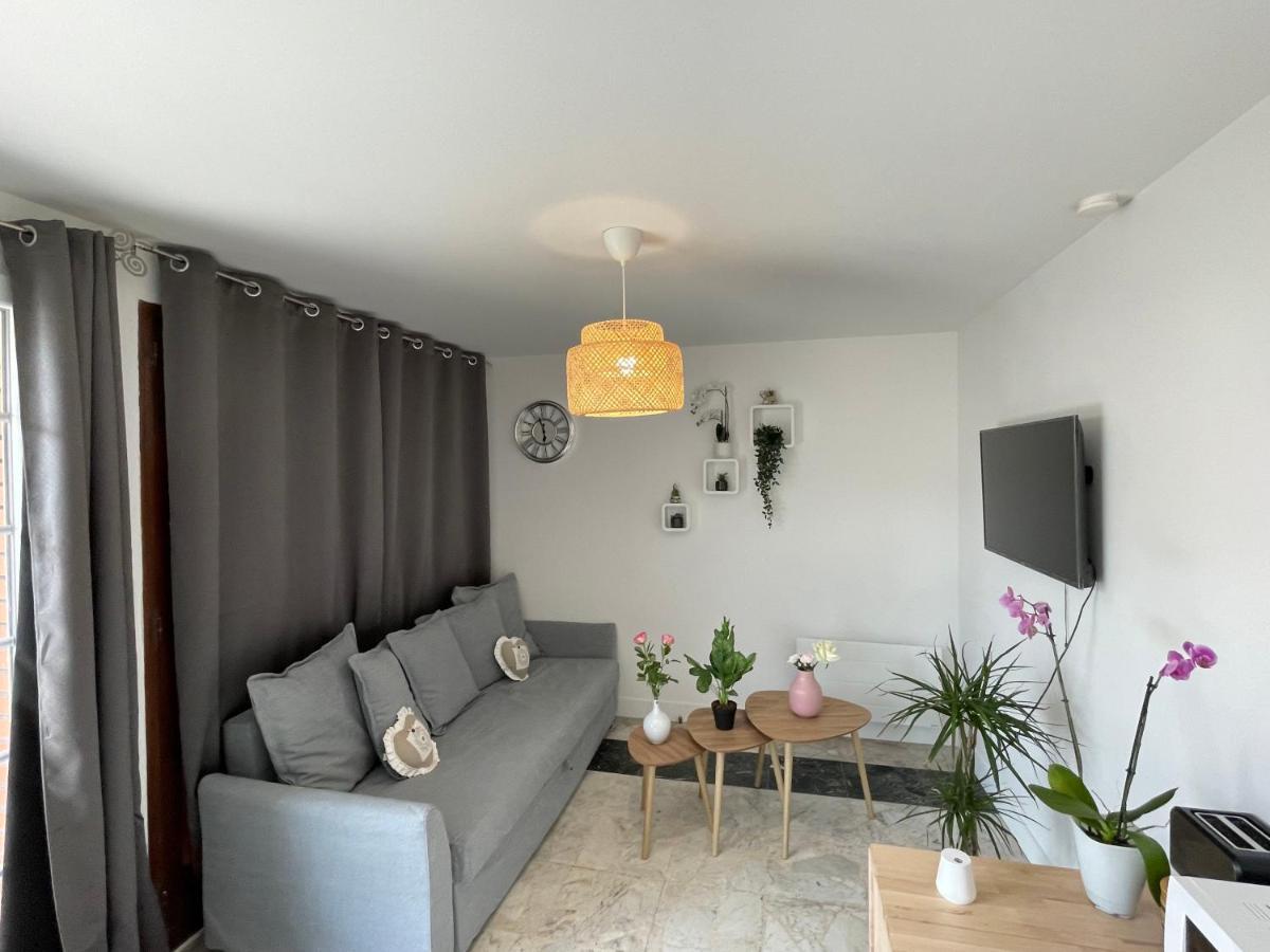 Joli T2, Terrasse Et Jardin, Ideal Pour Familles, A 15 Min De L'Aeroport Roissy Cdg Tremblay-en-France Eksteriør bilde